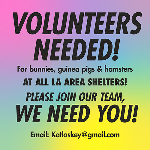 Volunteers Needed! At All LA Shelters